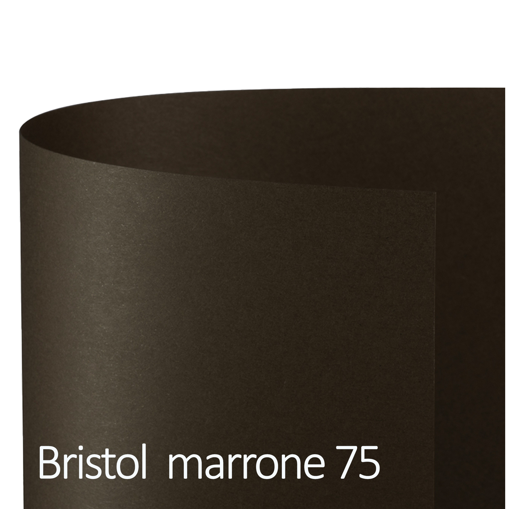 Cartoncino Bristol Color - 50 x 70 cm - 200 gr - marrone 75 - Favini - conf. 25 fogli
