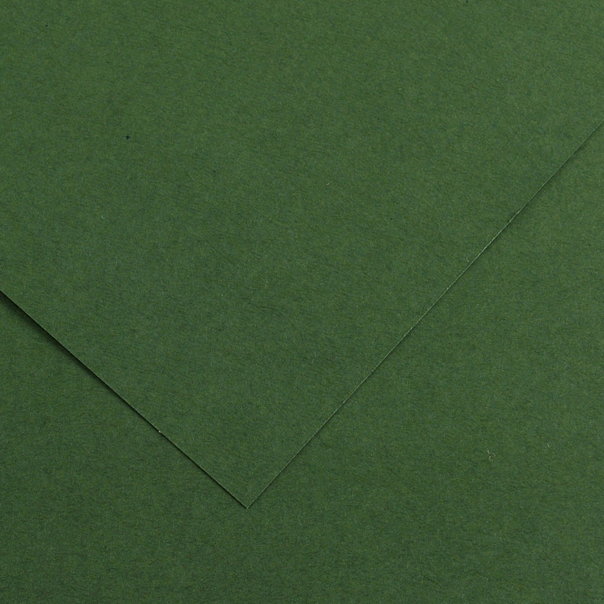 Foglio Colorline - 70x100 cm - 220 gr - verde abete - Canson