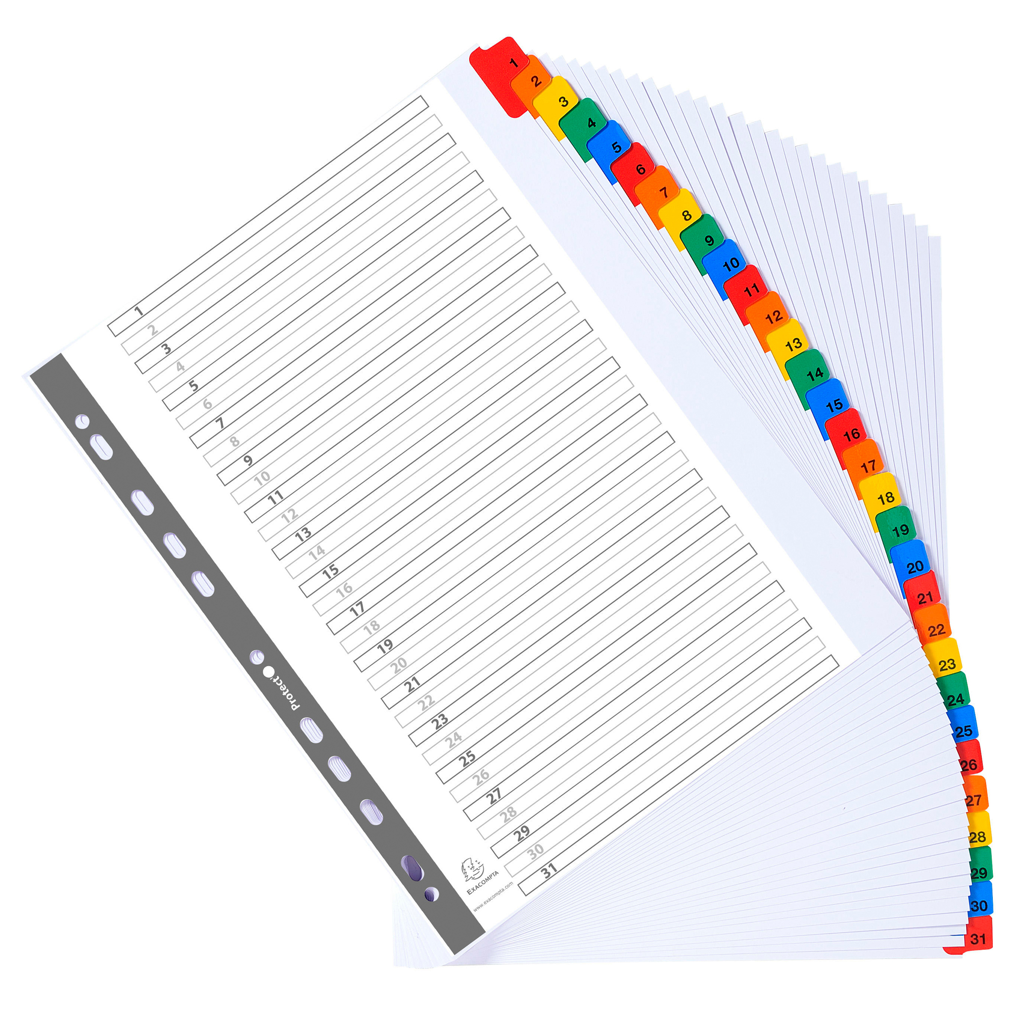 Separatore numerico 1/31 - cartoncino bianco 160 gr - tasti colorati - A4 maxi - Exacompta