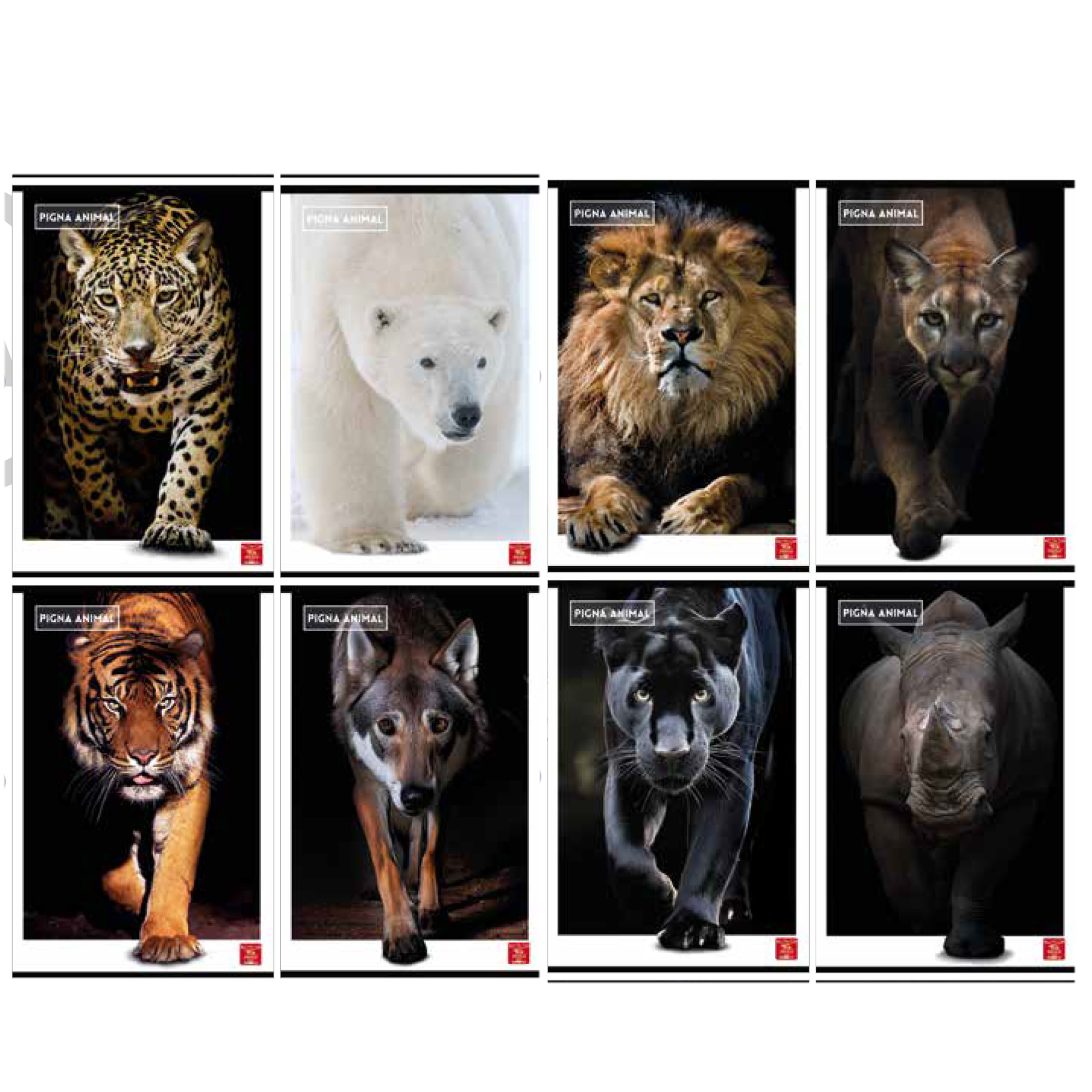 Maxiquaderno Animal - A4 - 10 mm - 42 fogli - 80 gr - Pigna