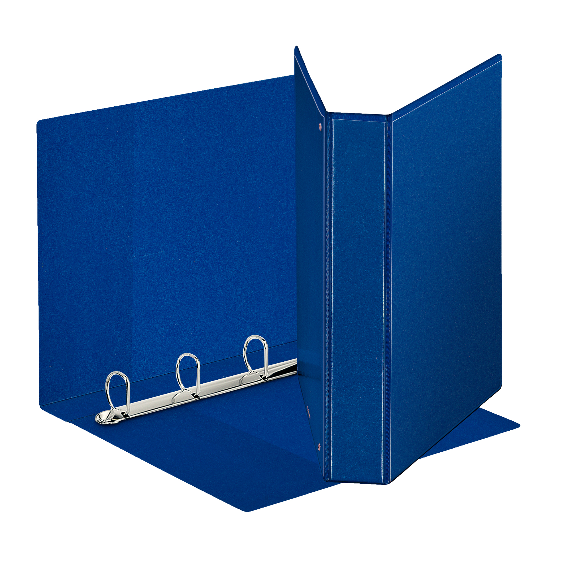 Raccoglitore personalizzabile Display - 22 x 30 cm - 4 anelli a D 40 mm - dorso 5,9 cm - blu - Esselte